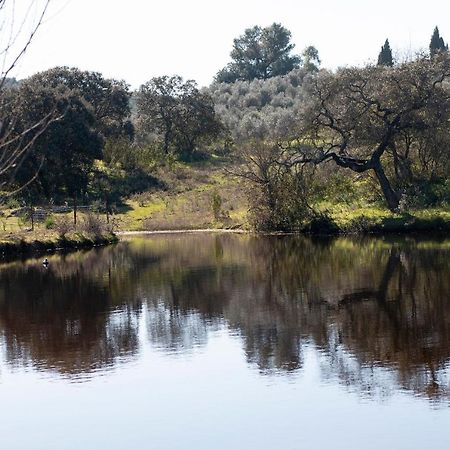 Casa Cortijo En Dehesa Sierra Leon Villa La Puebla de los Infantes Ngoại thất bức ảnh