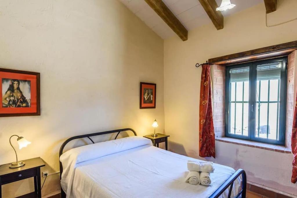 Casa Cortijo En Dehesa Sierra Leon Villa La Puebla de los Infantes Ngoại thất bức ảnh
